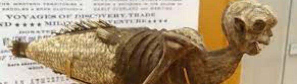 Literature and the Environment: Mermaids