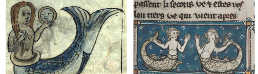 Literature and the Environment: Mermaids